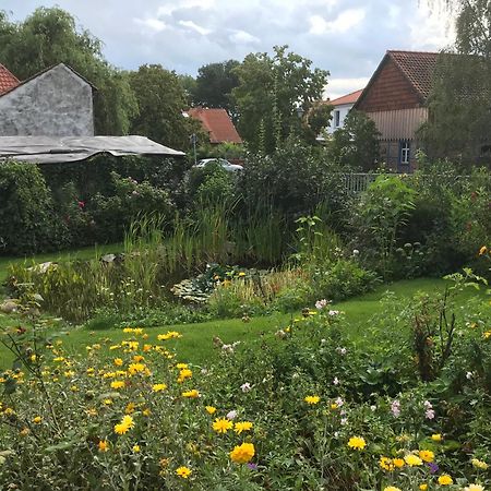Schoene Gemuetliche Ferienwohnung Mit Kamin I Im Harz Darlingerode Eksteriør billede