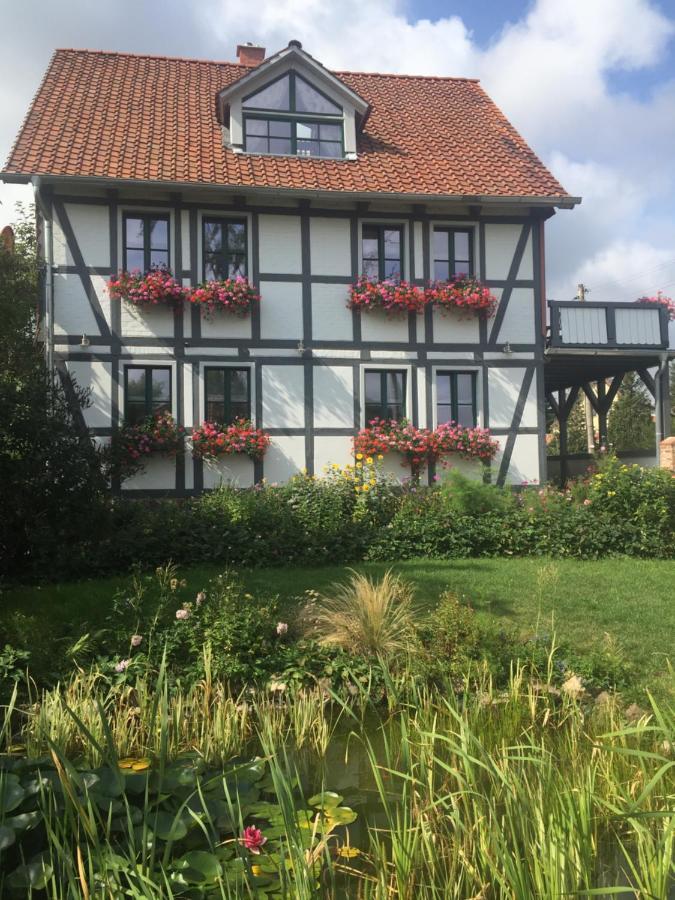Schoene Gemuetliche Ferienwohnung Mit Kamin I Im Harz Darlingerode Eksteriør billede