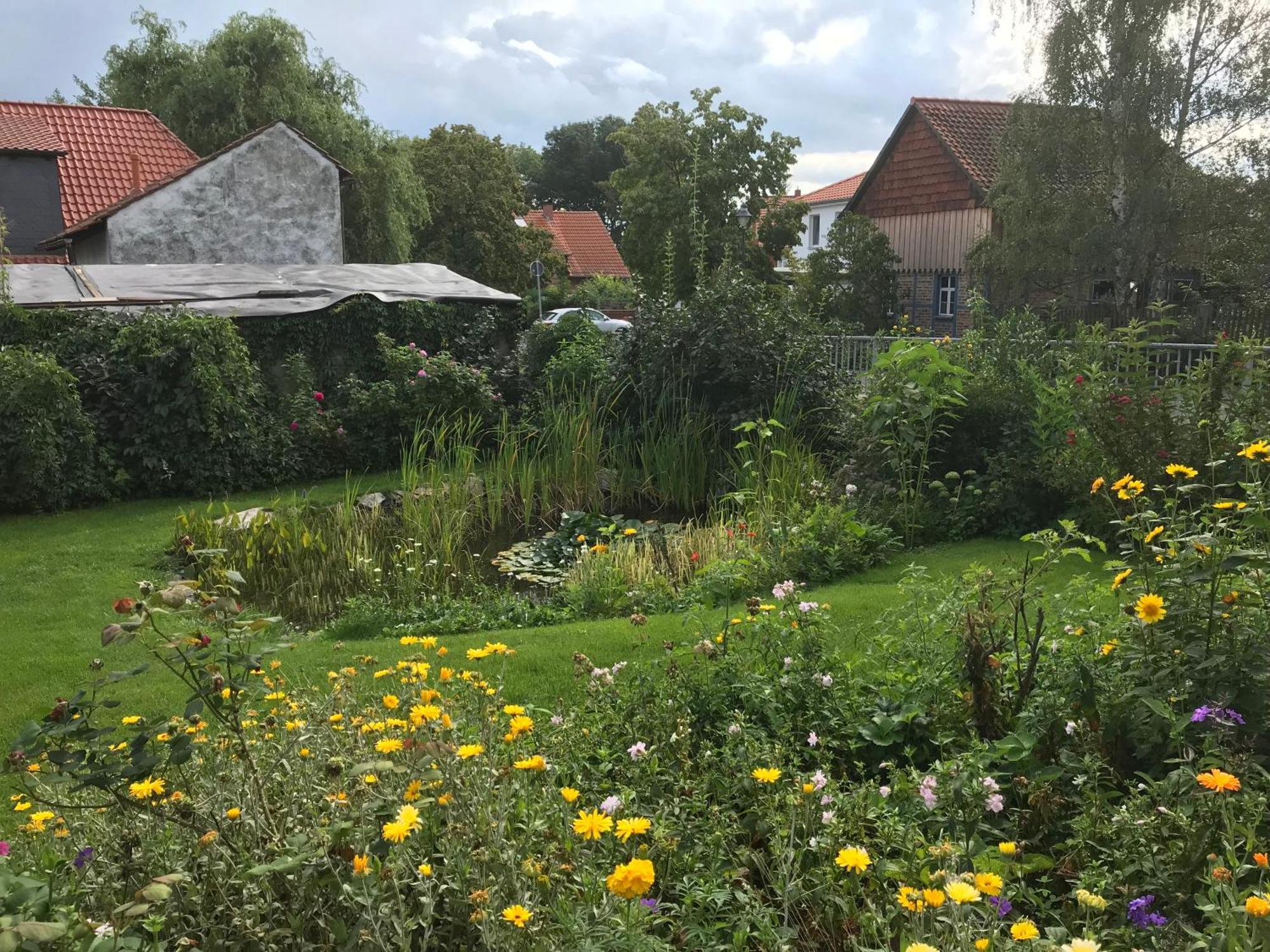 Schoene Gemuetliche Ferienwohnung Mit Kamin I Im Harz Darlingerode Eksteriør billede